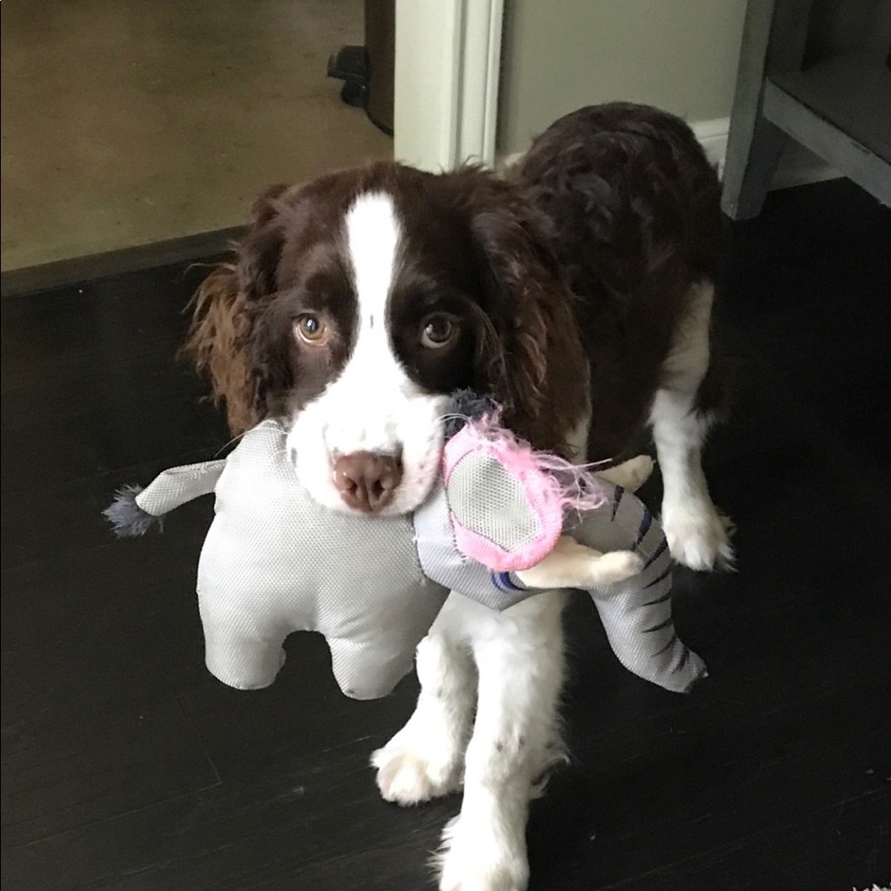 Meet your Posher, Cheryl